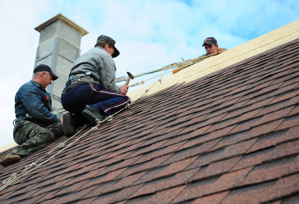 Best Roof Repair Services  in Parkway, CA